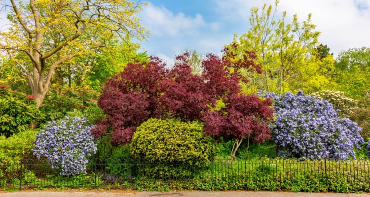 Parks near kensal rise area